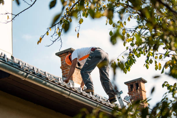 Best Roof Gutter Cleaning  in Norwich, CT